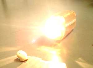 ���킟�B�����A�܂Ԃ�����B