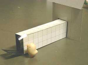 �e�[�v�ł͂��āc