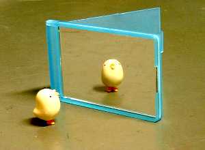 100�~�ψ�Ŕ����܂����B