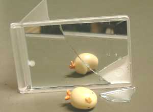 ����`��B�҂����B